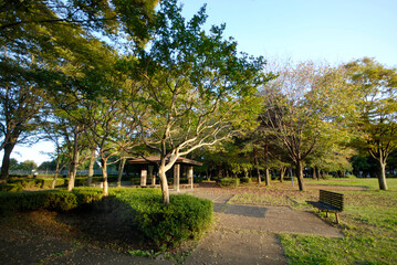 かつらぎ公園（茨城県つくば市）