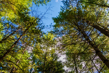 Laurentians parks and wildlife reserves