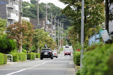 世田谷区上野毛の車道