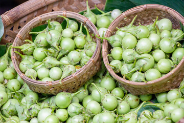 Green brinjal in basket