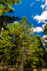 Laurentians parks and wildlife reserves