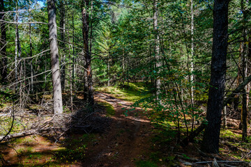 Laurentians parks and wildlife reserves
