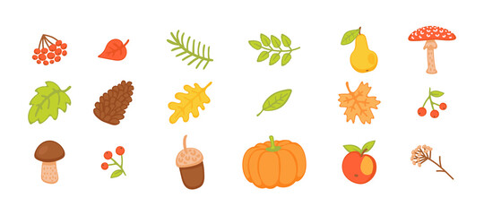 Autumn collection with leaves and mushrooms flat vector illustration isolated.