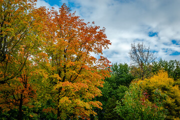 Fototapeta premium Autumn colors by the riverside 