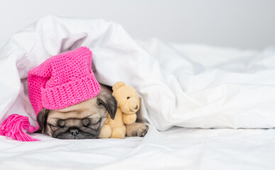 Tiny Pug puppy wearing winter hat, hugs favorite toy bear and sleeps under white warm blanket at home. Empty space for text