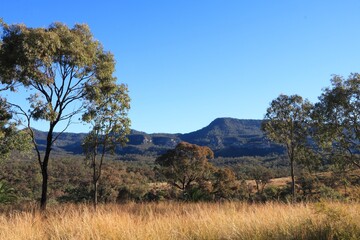 Australian Landscape