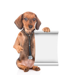 Dachshund puppy wearing stethoscope shows empty list. Isolated on white background