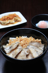 grilled eel or grilled unagi with sauce (Kabayaki) - .Japanese food.