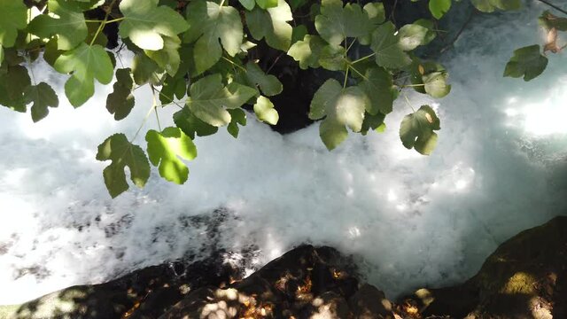 Top down view of fresh water streaming in the Banias river, at the Golan heights, Israel. Slow motion shot.
