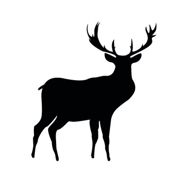 Black deer figure on white background, vector