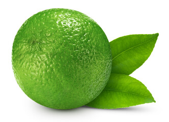 Organic lime isolated on white background. Taste lime with leaf. Full depth of field with clipping path