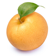Snow pear or Shingo pear isolated on white background, Korean pear on white background With...