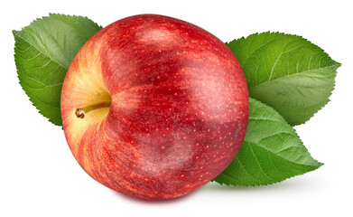 Red apple fruit. Fresh organic apple isolated on white background. Red apple macro