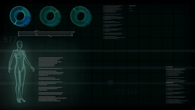 Anatomy seamless looping background with x-ray woman body and digital effects for overlay or backdrop use with place for yor objects - 4K 60fps UHD 3D animation