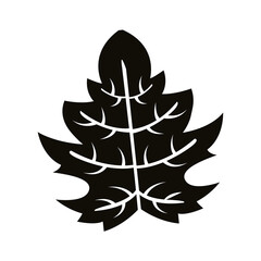 autum webbed leaf silhouette style icon