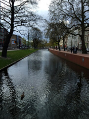 canal in the country, Rotterdam Holland Netherlands