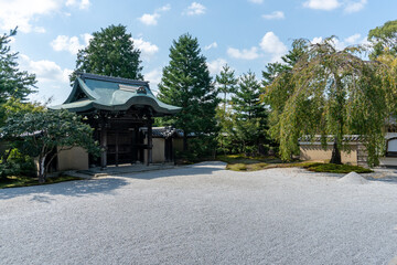Fototapeta premium 京都 高台寺