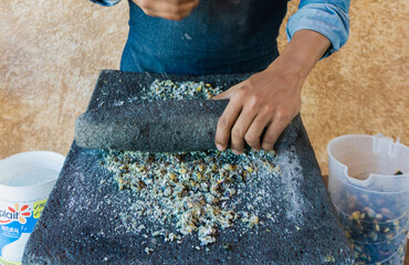 chef grinding corn in stone metate, traditional method to make tortillas, artisan method of...