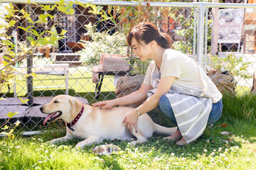 犬の世話をする女性
