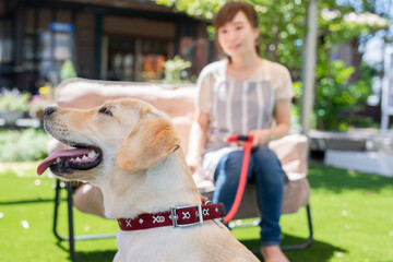 犬と女性
