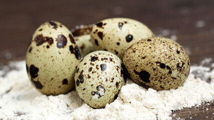 Obraz premium quail eggs in flour on a wooden background