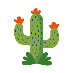 cactus mexican plant flat style