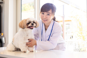獣医さんと犬

