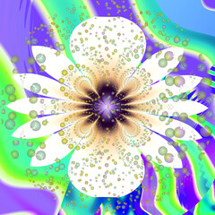 White petals and purple heart of lovely flower close up