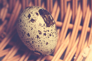 Quail egg on a basket background