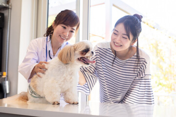 獣医さんと飼い主
