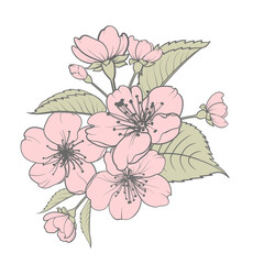 Hand drawn design elements sakura flowers collection. © Kotkoa