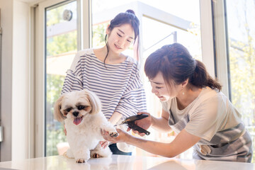 ペットサロンで爪を切る女性
