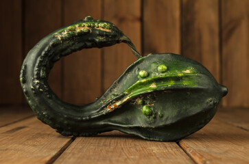 Small decorative green autumn pumpkin or squash on a wooden table.