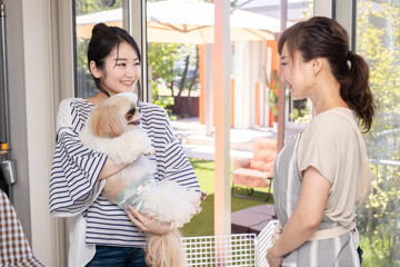 犬と女性
