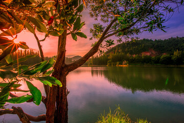 Blurred nature background view of naturally occurring trees and reflection on the water surface,...