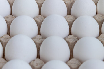 White chicken eggs close up, eggs background. High quality photo