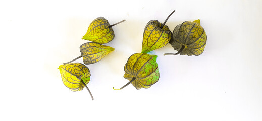 A beautiful green fruits with white background