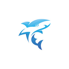 Shark Logo Illustration
