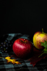 autumn fruit still life, red and green apples on black background, copy space