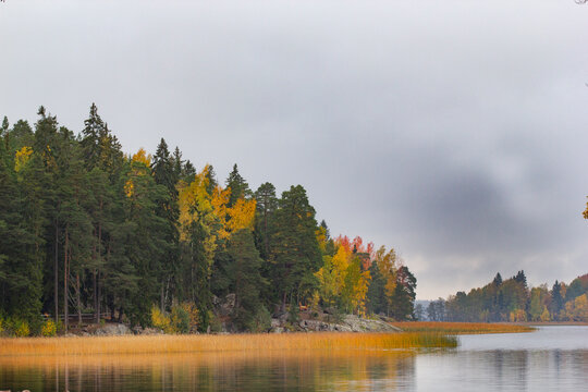 Autumn landscape with yellowed trees reflected in the water of the lake
