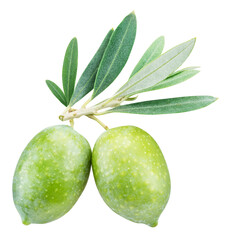 Two green natural olives isolated on a white background.