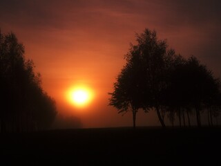 wschód słońca w Borku
