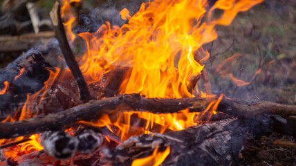 Bonfire