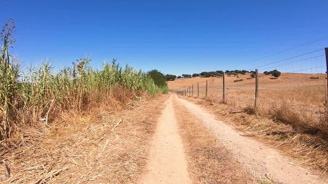 dolly move forward - dirt road through agricultural fields in summer next to Crato, Portalegre district, Alentejo, Portugal