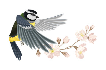 Great Tit with Black Head and Yellow Body Flying Towards Apple Blossom Branch Vector Illustration