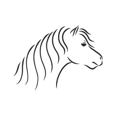 Vector hand drawing pony isolated on white background, pony horse, vector sketch illustration