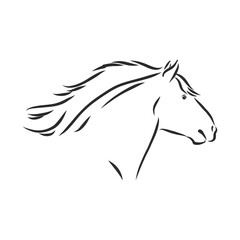 Naklejka na ściany i meble hand-drawn silhouette of a prancing heavy - harnessed white horse on a white background, heavy horse, vector sketch illustration