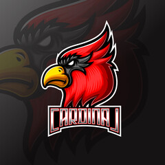 Cardinal bird head mascot e sport logo