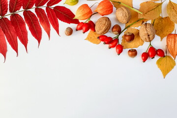 
the concept of autumn composition with space for your text from the leaves, nuts and berries of wild rose in top view, the horizontal position. Thanksgiving day