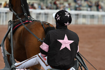 course de chevaux en trot attelé